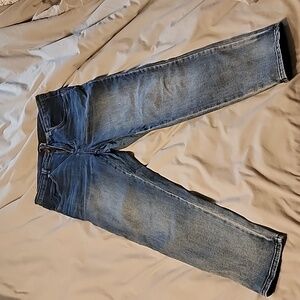Universal Standard 10 Seine distressed blue jeans